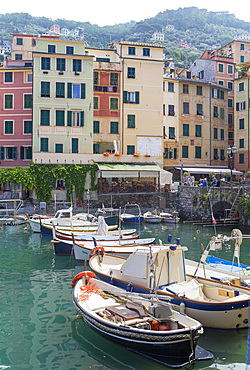 Camogli fishing port, Camogli, Riviera di Levante, Liguria, Italy, Europe