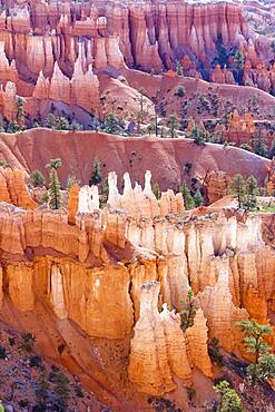 Bryce Canyon, Bryce Canyon National Park, Utah, United States of America, North America