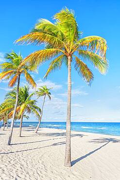 Fort Lauderdale beach, Fort Lauderdale, Broward County, Florida, United States of America, North America