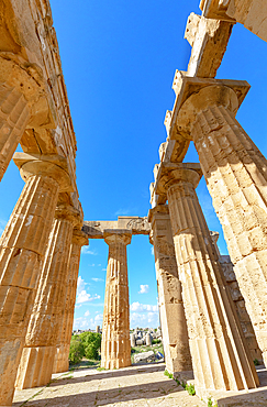 Temple of Hera (Temple E), Selinunte Archaeological Park, Selinunte, Trapani district, Sicily, Italy, Mediterranean, Europe