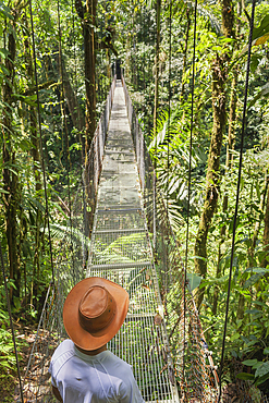 Man standing on hanging bridge in rainforest, La Fortuna, Alajuela province, Costa Rica //M.R-COSTA-RICA-06