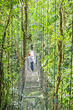 Man standing on hanging bridge in rainforest, La Fortuna, Alajuela province, Costa Rica, Central America // M.R-COSTA-RICA-06