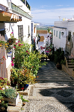 Narrow street filled with flowers and plants, Salobrena, Andalucia (Andalusia), Spain, Europe