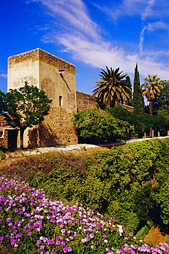 Torre de la Sultana surrounded by spring flowers, Alcazaba, Alhambra, Granada, Andalusia, Spain