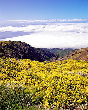 Landscape near Roque de los Muchachos, Parque Nacional de la Caldera de Taburiente, La Palma, Canary Islands, Spain, Europe