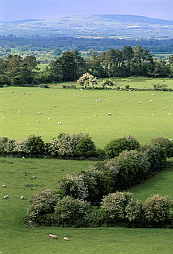 View from Rock of Cashel, Plain of Tipperary, County Tipperary, Eire (Ireland), Europe