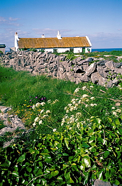 Inishmore (Inishmor), Isles of Aran, Eire (Ireland), Europe