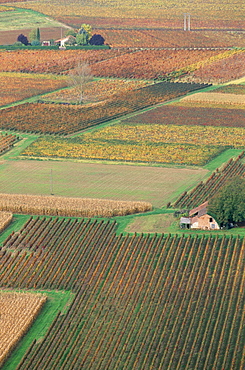 View from the village of Belaye of the vineyards of Cahors, Vallee du Lot (Lot Valley), Midi-Pyrenees, France, Europe