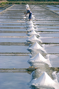 Collecting salt in the salt pans, Fier d'Ars, Ile de Re, Charente Maritime, France, Europe