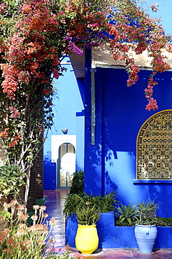 The Majorelle Garden, created by the French cabinetmaker Louis Majorelle, and restored by the couturier Yves Saint-Laurent, Marrakesh, Morocco, North Africa, Africa