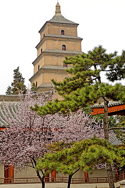 The Great Wild Goose Pagoda (Dayanta), dating from the Tang Dynasty in the 7th century, Xian, Shaanxi, China, Asia