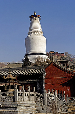 The Great White Pagoda (Da Baita), Tayuan Temple (Tayuan Si), one of China's most ancient Buddhist sites, Five Terrace Mountain (Wutai Shan), Shanxi, China, Asia