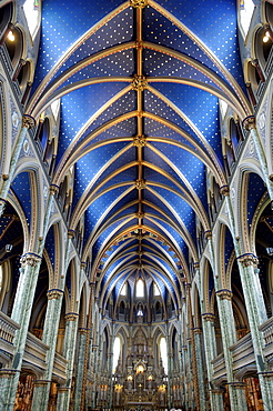 Cathedral and Basilica of Notre Dame built between 1839 and 1885, on site of the first Catholic chapel, Ottawa, Ontario, Canada, North America