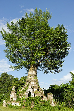 Buddhist monastery, Hsipaw area, Shan State, Republic of the Union of Myanmar (Burma), Asia 