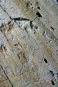 Rock engravings, Vallee de Fontanalba, Pays Merveilles, Mercantour National Park, Alpes Maritimes, Provence, France, Europe