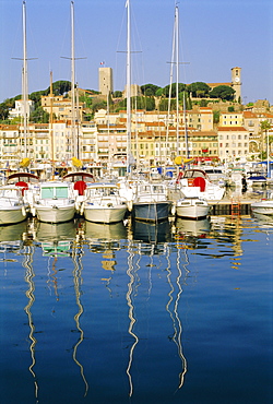 The Port, Cannes, Cote d'Azur, Provence, France