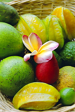 Orchid and fruit, Les Jardins du Roy, Mahe, Seychelles