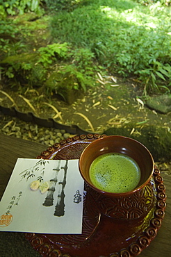 Tea ceremony in bamboo forest,  Kamakura city, Kanagawa prefecture, Japan, Asia