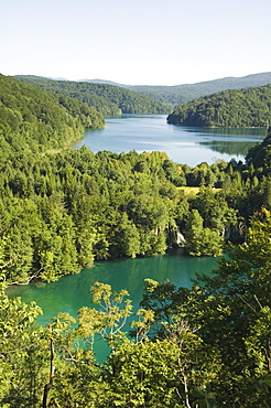 Turquoise Lakes, Plitvice Lakes National Park, UNESCO World Heritage Site, Croatia, Europe