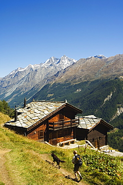 Hiker and dog on trail in front of traditional slate roofed house, Zermatt Alpine Resort, Valais, Switzerland, Europe