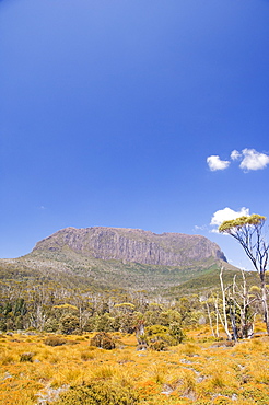 Mount Pelion West on the Overland Track, Cradle Mountain Lake St. Clair National Park, part of Tasmanian Wilderness, UNESCO World Heritage Site, Tasmania, Australia, Pacific