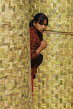 Woman at Nyaungshwe market, Nyaungshwe town, Inle Lake, Shan State, Myanmar (Burma), Asia