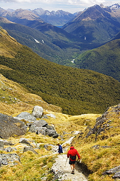 A hiker on a trail leading to Conical Hill on the Routeburn Track, part of Fiordland National Park, South Island, New Zealand, Pacific