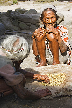 Local elderly Igorot woman sorting coffee beans, Tulgao Village, near Tinglayan Town, The Cordillera Mountains, Kalinga Province, Luzon, Philippines, Southeast Asia, Asia