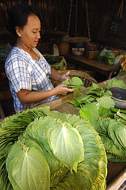 Meiktila market, Meiktila, central Burma, Myanmar (Burma), Asia