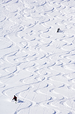 Skiers making early tracks after fresh snow fall at Alta Ski Resort, one of the resorts in America where only skiers are allowed, Salt Lake City, Utah, United States of America, North America