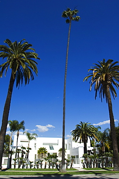 Mansions of the rich and famous, Beverly Hills, Los Angeles California, United States of America, North America