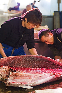 Slicing tuna at Tsukiji fish market, Tokyo, Honshu Island, Japan, Asia