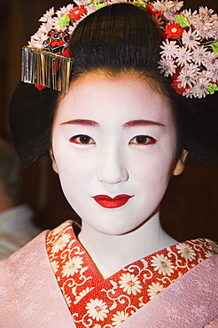 Maiko (trainee geisha), entertainment at formal dinner banquet, Kyoto, Honshu Island, Japan, Asia