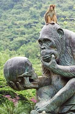 Monkey Island research park, Hainan Province, China, Asia