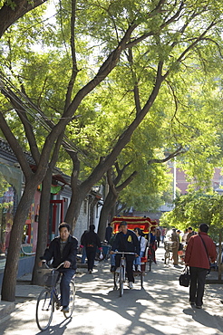 A tree lined avenue in a local neighbourhood Hutong area of Beijing, China, Asia