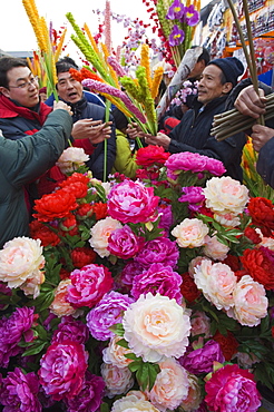 A flower market at Changdian Street Fair during Chinese New Year, Spring Festival, Beijing, China, Asia