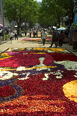 Flower festival, Kobe city, Kansai, Honshu island, Japan, Asia