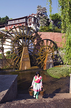 A Bai girl carrying buckets of water in front of a water wheel in Lijiang Old Town, UNESCO World Heritage Site, Yunnan Province, China, Asia