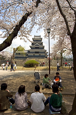 Cherry blossom viewing, Matsumoto Castle, Matsumoto city, Nagano prefecture, Honshu island, Japan, Asia