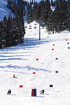 Giant slalom racers at Whistler mountain resort, venue of the 2010 Winter Olympic Games, British Columbia, Canada, North America