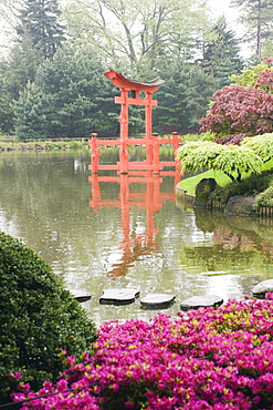 Torii gate in Japanese garden, Brooklyn Botanical Garden, Brooklyn, New York City, New York, United States of America, North America