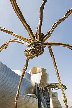 The Guggenheim, designed by architect Frank Gehry, and giant spider sculpture by Louise Bourgeois, Bilbao, Basque country, Spain, Europe