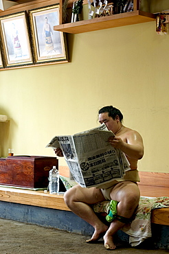 Sumo wrestler reading newspaper, Tokyo City, Honshu Island, Japan, Asia