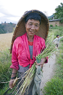 A local woman working in the fields, Punakha, Bhutan, Asia