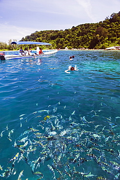 Snorkeling trip, Perhentian Islands, Terengganu State, Malaysia, Southeast Asia, Asia