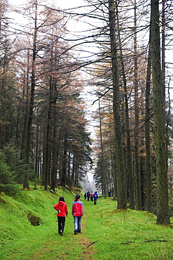 Hikers walking in Brecon Beacons National Park, South Wales, Uninted Kingdom, Europe