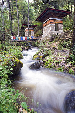 River running through stone cairns on a trail to the Tigers Nest (Taktsang Goemba), Paro Valley, Bhutan, Asia