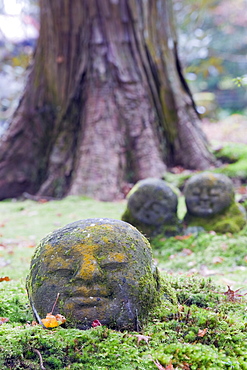 Sanzen in temple dating from 986, Kyoto, Japan, Asia