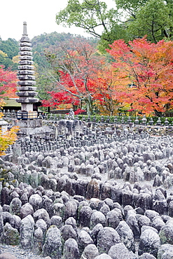 Jizo stone statues and autumn maple leaves at Adashino Nenbutsu dera temple, Arashiyama Sagano area, Kyoto, Japan, Asia