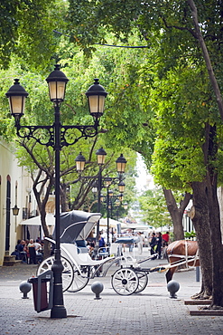 Horse carriage for tourists, Zona Colonial (Colonial District), UNESCO World Heritage Site, Santo Domingo, Dominican Republic, West Indies, Caribbean, Central America